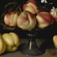 A Crystal Fruit Stand with Peaches, Quinces, and Jasmine