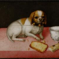 Dog with a Biscuit and a Chinese Cup.jpg